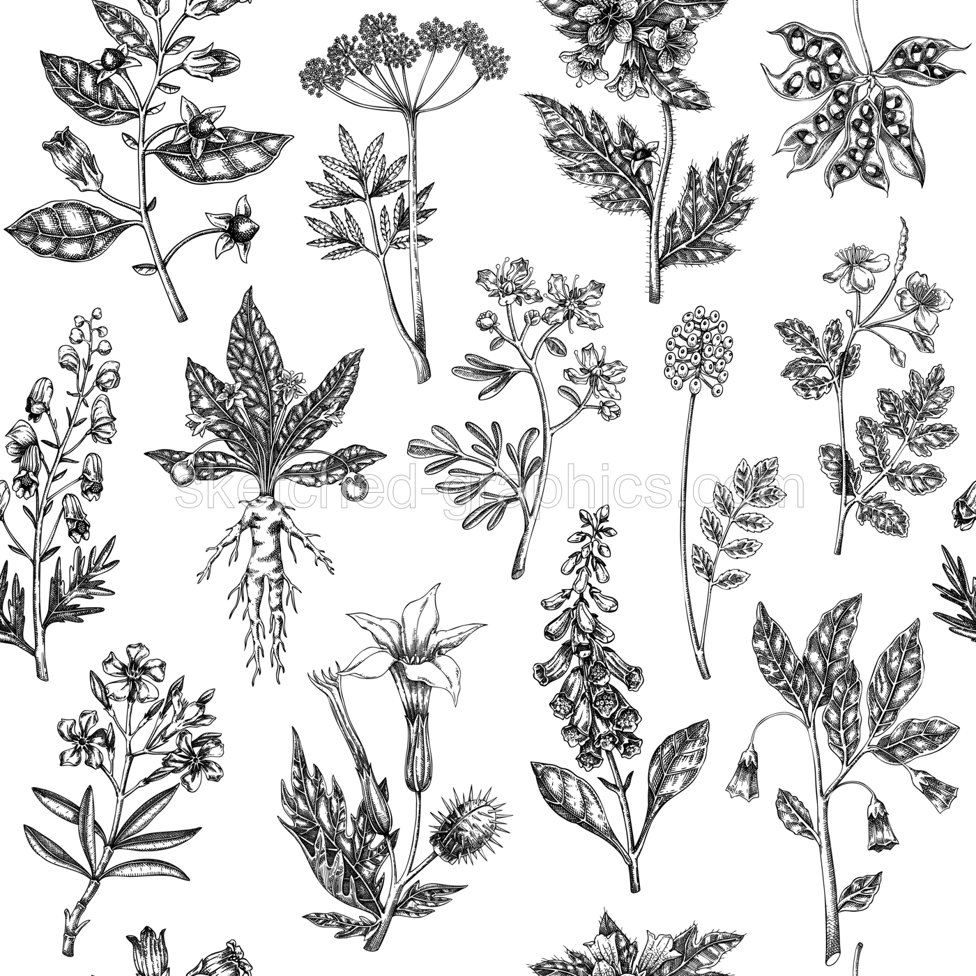Witch herbs seamless pattern. Bohemian background. Poisonous plants and flowers design. NOT AI generated Illustration